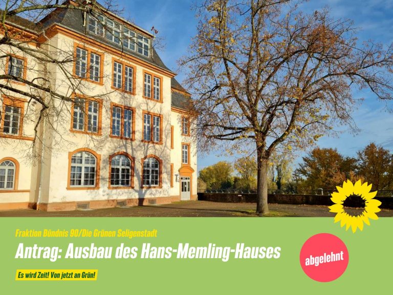 Grüne fordern mehr Geld für Hans-Memling-Schule
