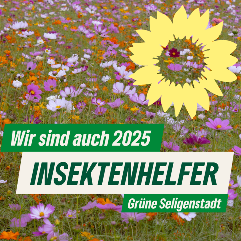 GRÜNE unterstützen Blühflächen-Initative mit 1000 Quadratmetern