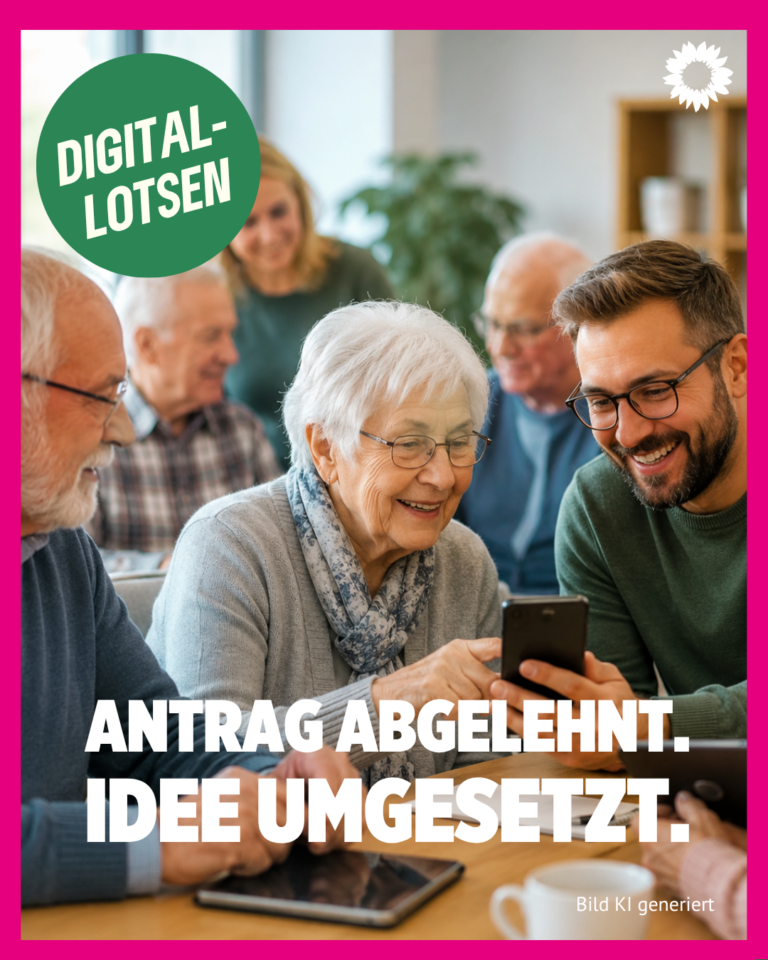 Digital-Lotsen: Gute Idee endlich umgesetzt